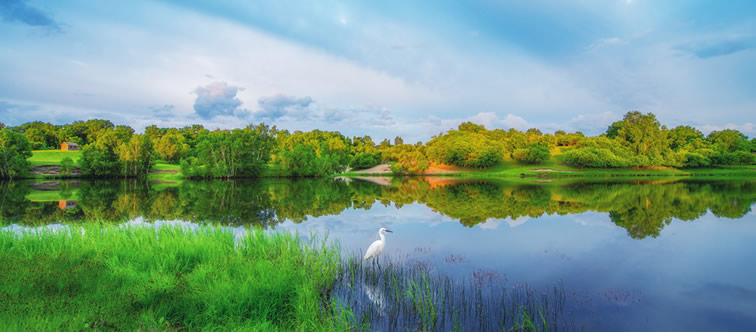 山東泰山起重機(jī)械有限公司 